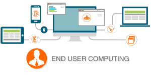 End User Computing (EUC)